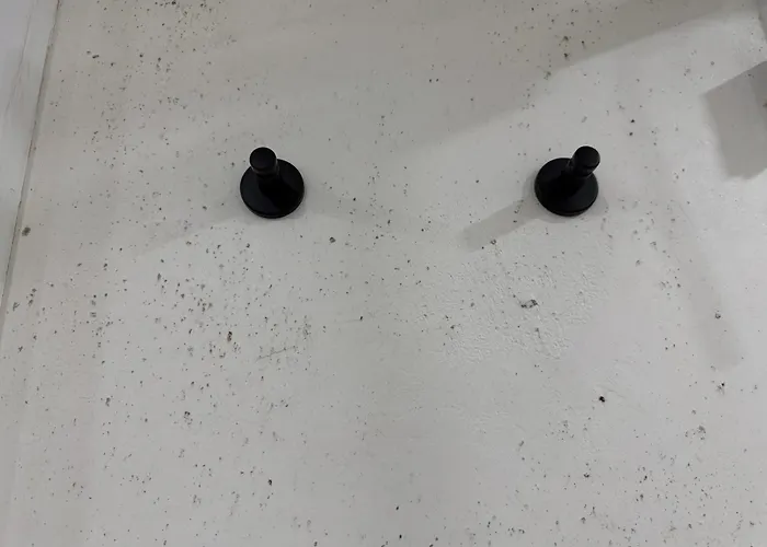 Gemuetliches Kellerzimmer + Bad ホームステイ ボホルト